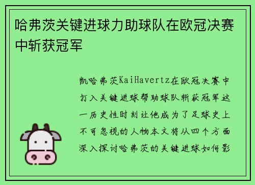 哈弗茨关键进球力助球队在欧冠决赛中斩获冠军 哈弗茨关键进球力助球队在欧冠决赛中斩获冠军