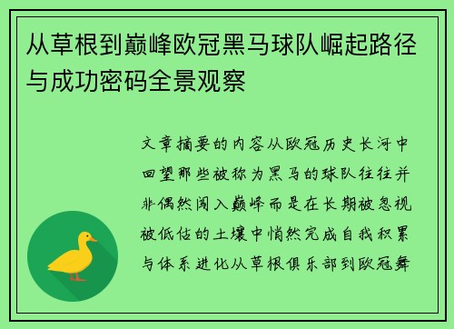从草根到巅峰欧冠黑马球队崛起路径与成功密码全景观察
